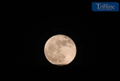 SUPERMOON RISING